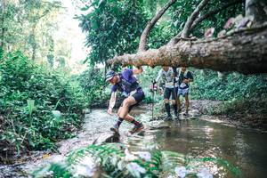 BIB: 
                            <button type="button" onclick="openModal(25435539)" class="btn btn-primary btn-sm float-right btn-popup" data-toggle="modal" data-target=".modal-high-quality">
                        <i class="fas fa-shopping-cart"></i> Add to Cart
                    </button>
                                            <button type="button" onclick="isThisMe(25435539, true)" class="btn btn-success btn-sm float-right btn-popup btn-isme hidden" data-toggle="tooltip" data-placement="bottom" title="นี่คือรูปของคุณใช่ไหม คลิกที่นี่เพื่อเอาเข้าอัลบั้ม">
                        <i class="fas fa-plus"></i> Add to album
                    </button>
                    <button type="button" onclick="isThisMe(25435539, false)" class="btn btn-warning btn-sm float-right btn-popup btn-isnotme hidden">
                        <i class="fas fa-ban"></i> Remove from album
                    </button>